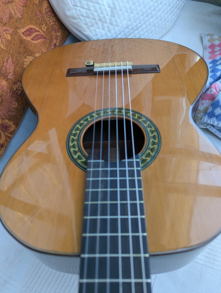 Guitarra Alhambra 5p con piezo firestone y bag