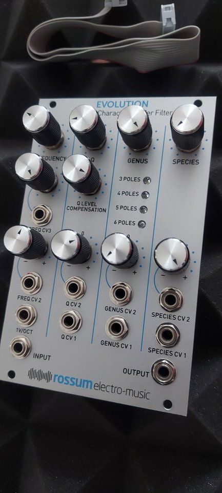 ROSSUM Electro-Music Evolution de segunda mano · Foto 3 de 6 · Barcelona · 380 €