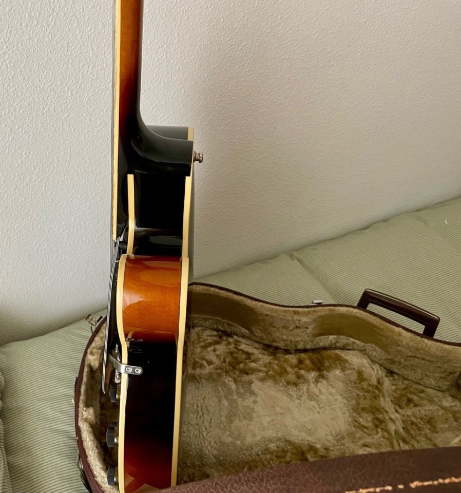 Ibanez FG-100 BS de segunda mano · Foto 9 de 10 · Granada · 1990 €