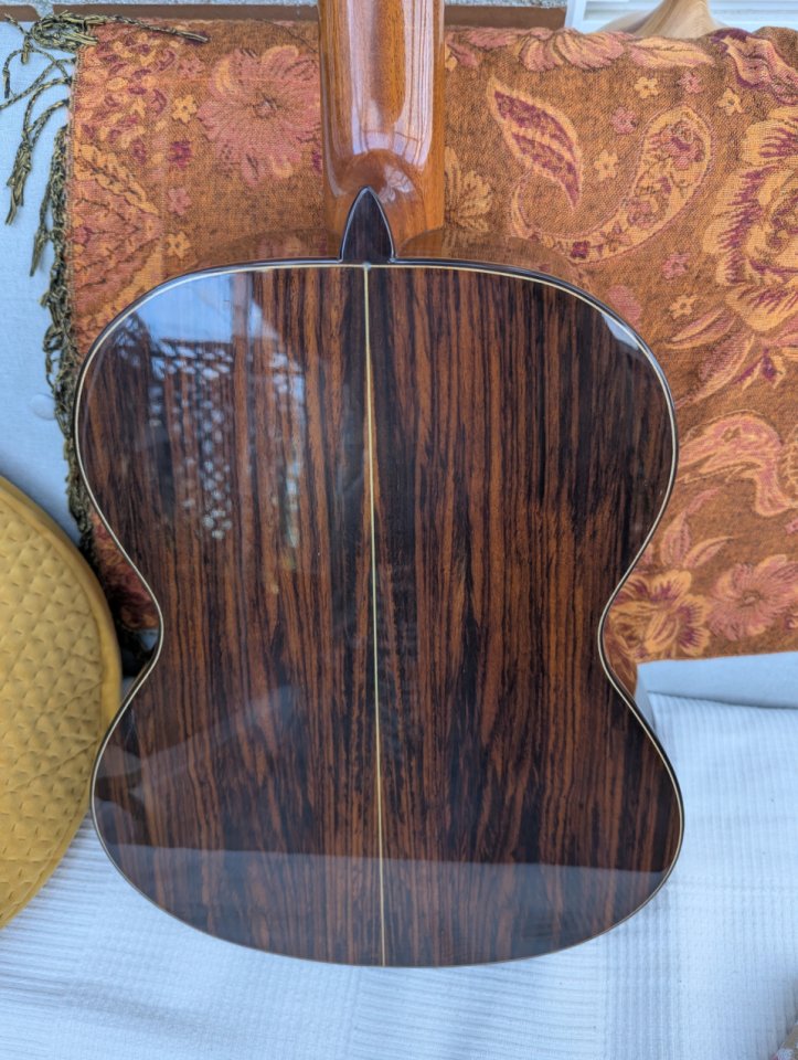 Guitarra Alhambra 5p con piezo firestone y bag