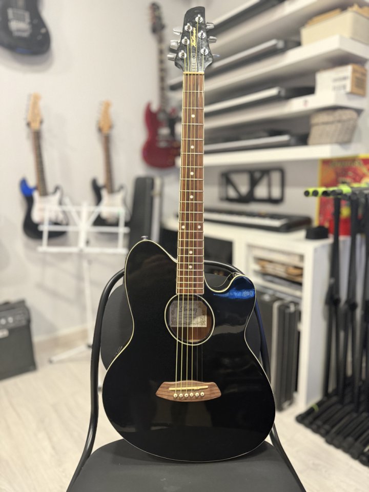 Ibanez Talman Acústica de segunda mano · Foto 1 de 7 · Bizkaia · 160 €