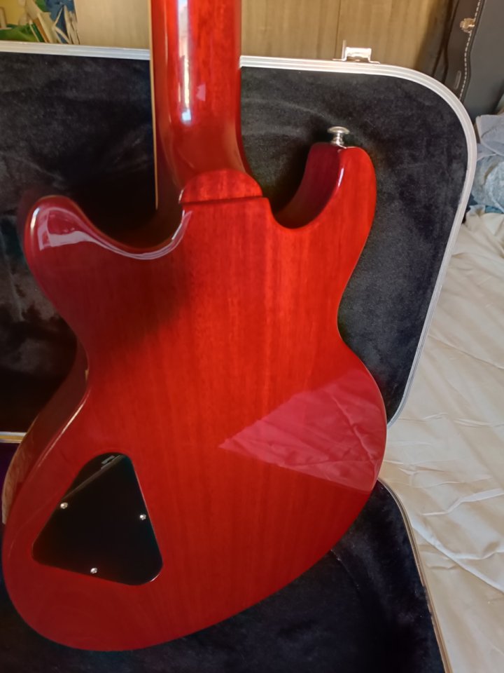 Gibson Les Paul Special DC-100 de 2015