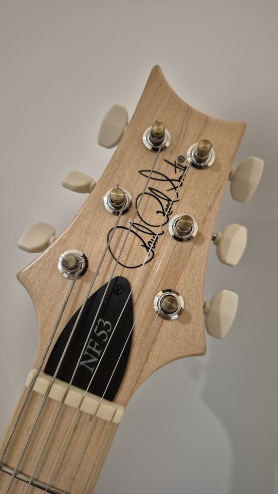 PRS NF53 Black Doghair