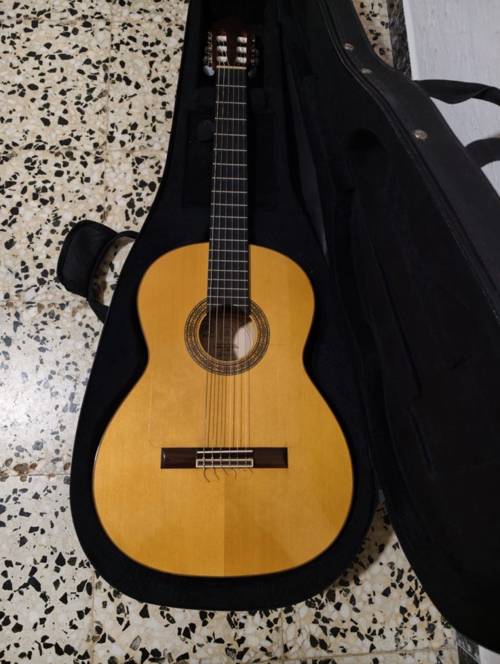Guitarra flamenca Antonio Bernal
