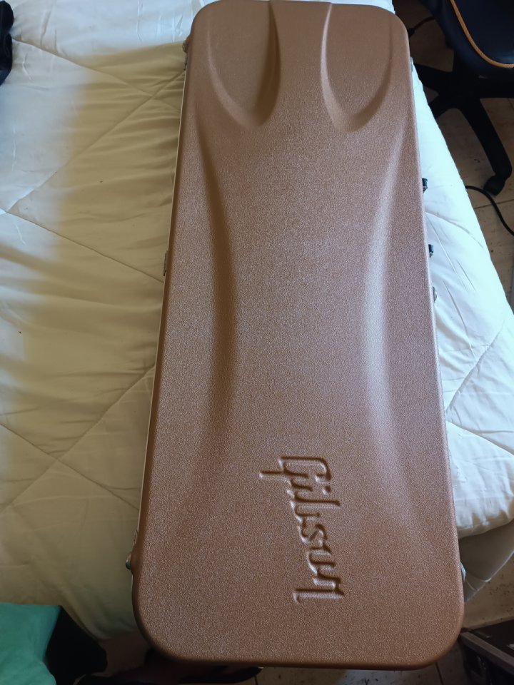 Gibson Les Paul Special DC-100 de 2015