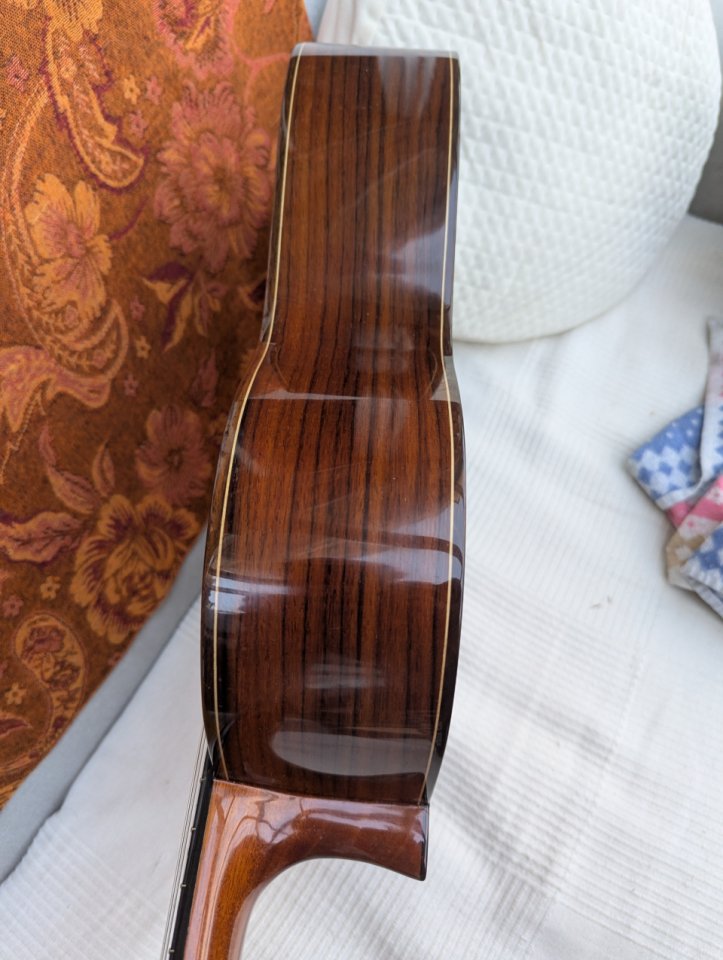 Guitarra Alhambra 5p con piezo firestone y bag