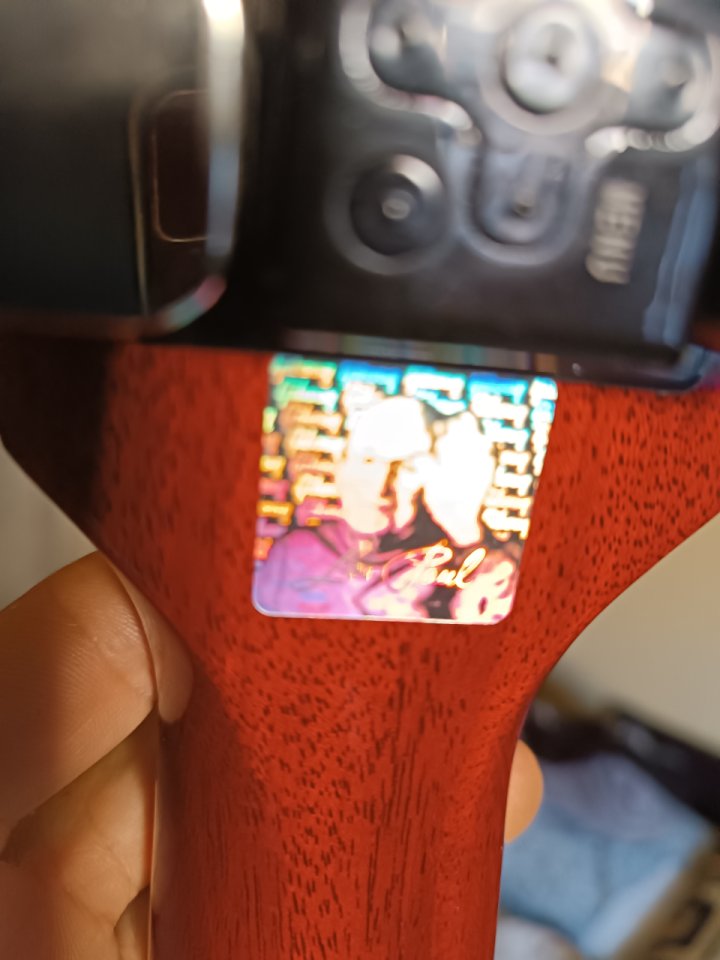 Gibson Les Paul Special DC-100 de 2015