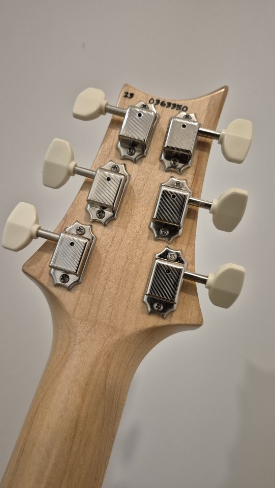 PRS NF53 Black Doghair