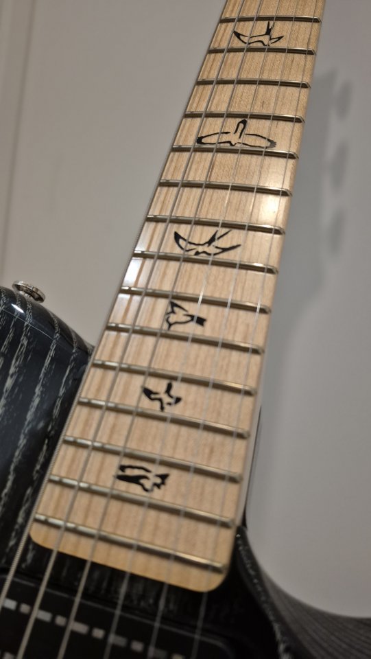 PRS NF53 Black Doghair