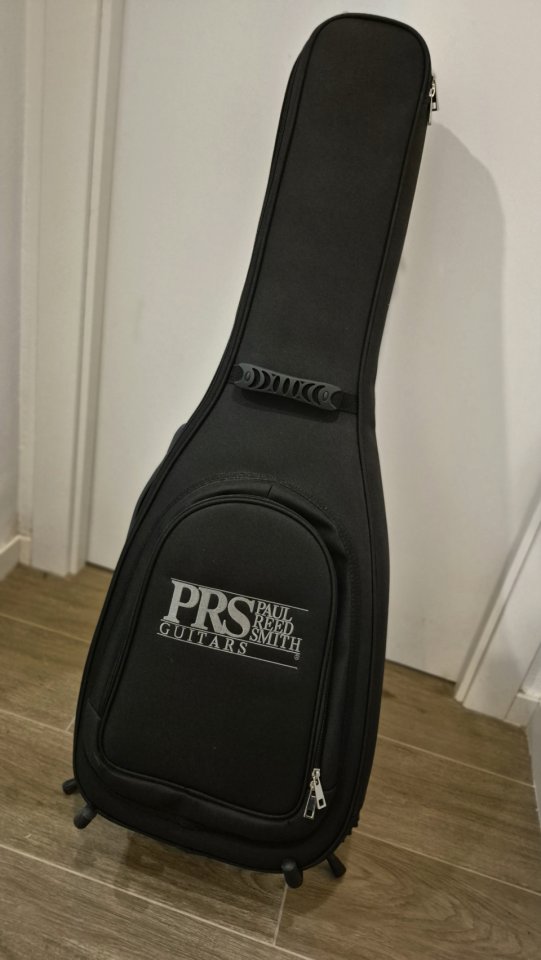 PRS NF53 Black Doghair