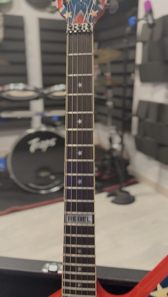 Dean Dixie Rebel (Reservada) de segunda mano · Foto 3 de 5 · Bizkaia · 840 €