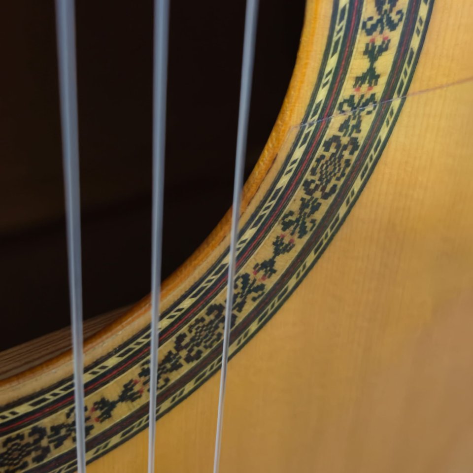Guitarra flamenca Antonio Bernal
