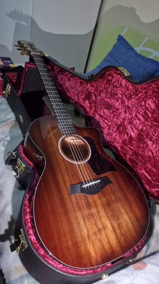Vendo/Cambio taylor 224 Koa DLX