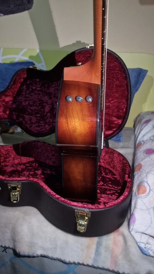 Vendo/Cambio taylor 224 Koa DLX