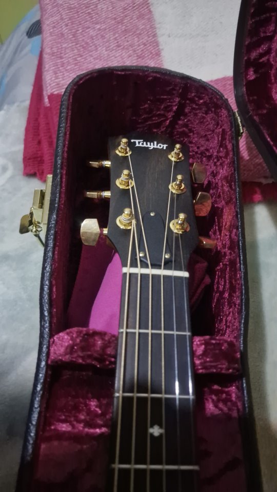 Vendo/Cambio taylor 224 Koa DLX