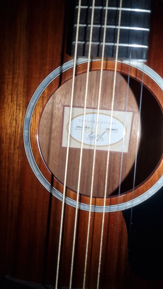 Vendo/Cambio taylor 224 Koa DLX