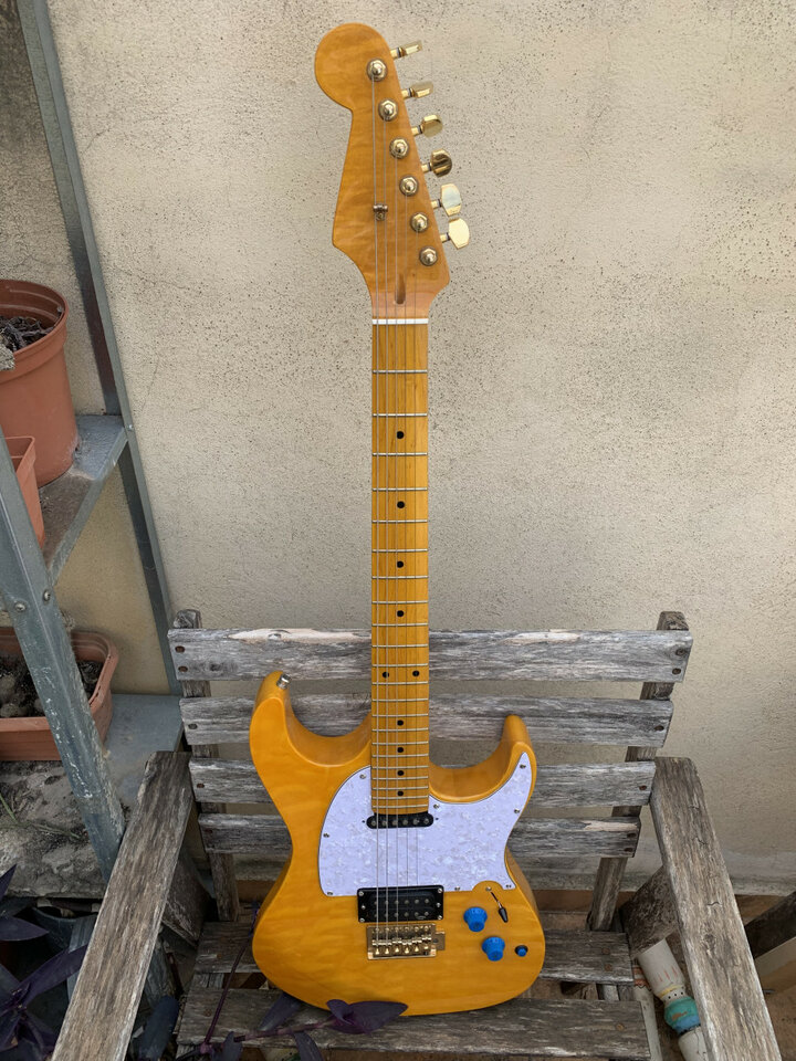 Guitarra con pastilla Chapman