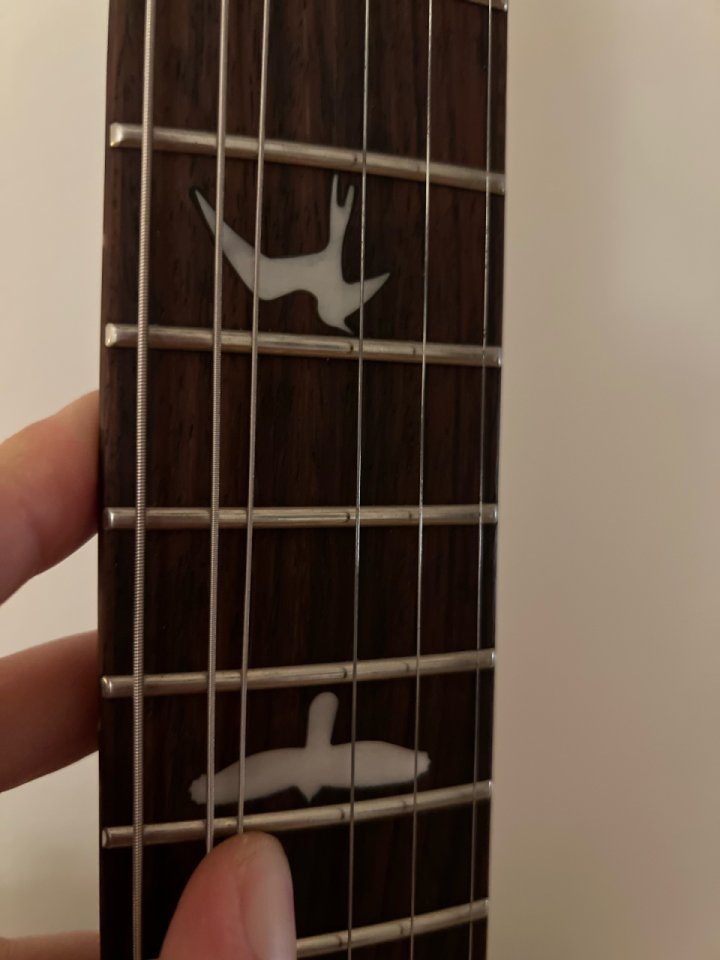 PRS SE Custom 24 Orange Tiger Smokeburst LIMITED + clavijeros PRS locking