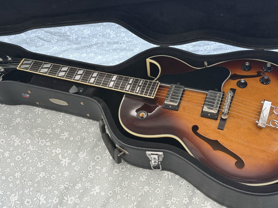 Aria FA-STD. ES-175 de segunda mano · Foto 1 de 10 · Burgos · 800 €