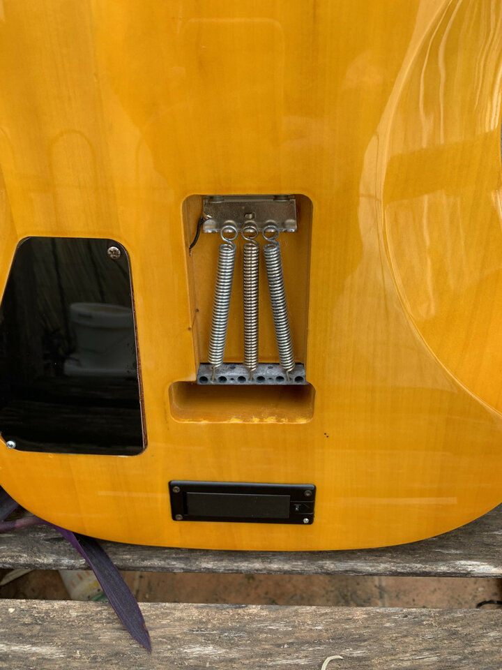 Guitarra con pastilla Chapman