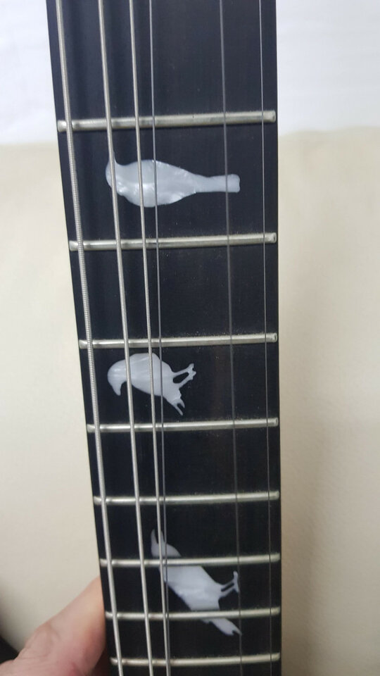 Schecter DJ Ashba signature - Carbon Grey