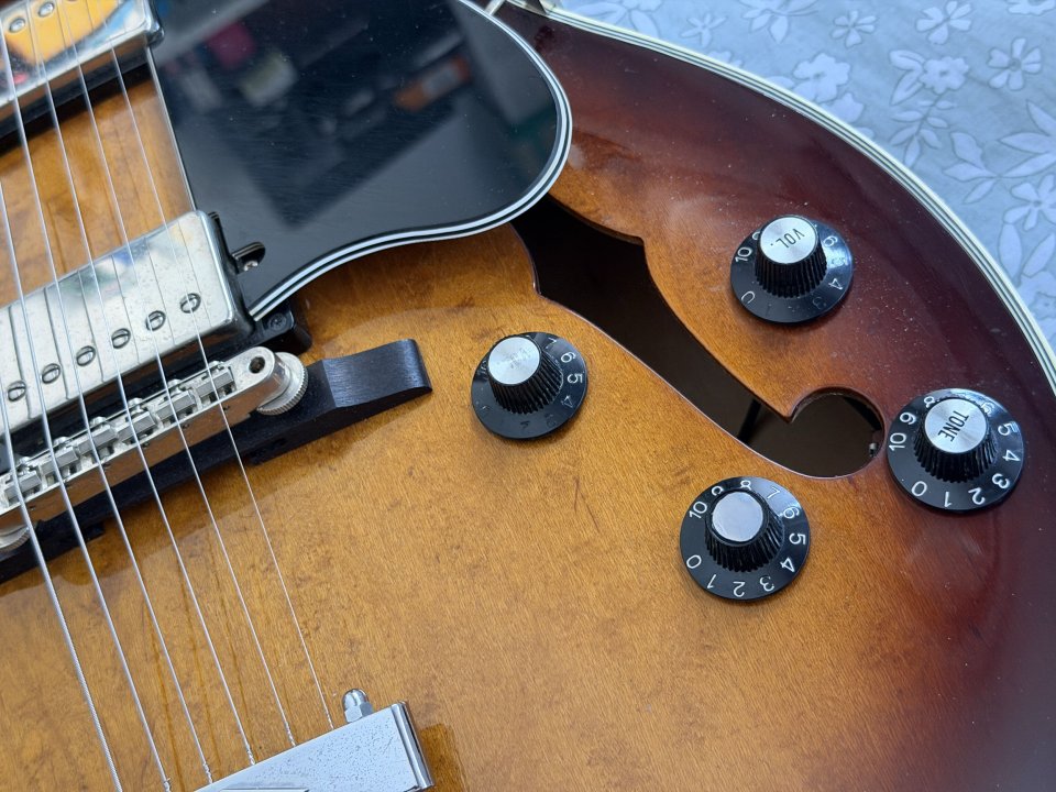 Aria FA-STD. ES-175 de segunda mano · Foto 4 de 10 · Burgos · 800 €