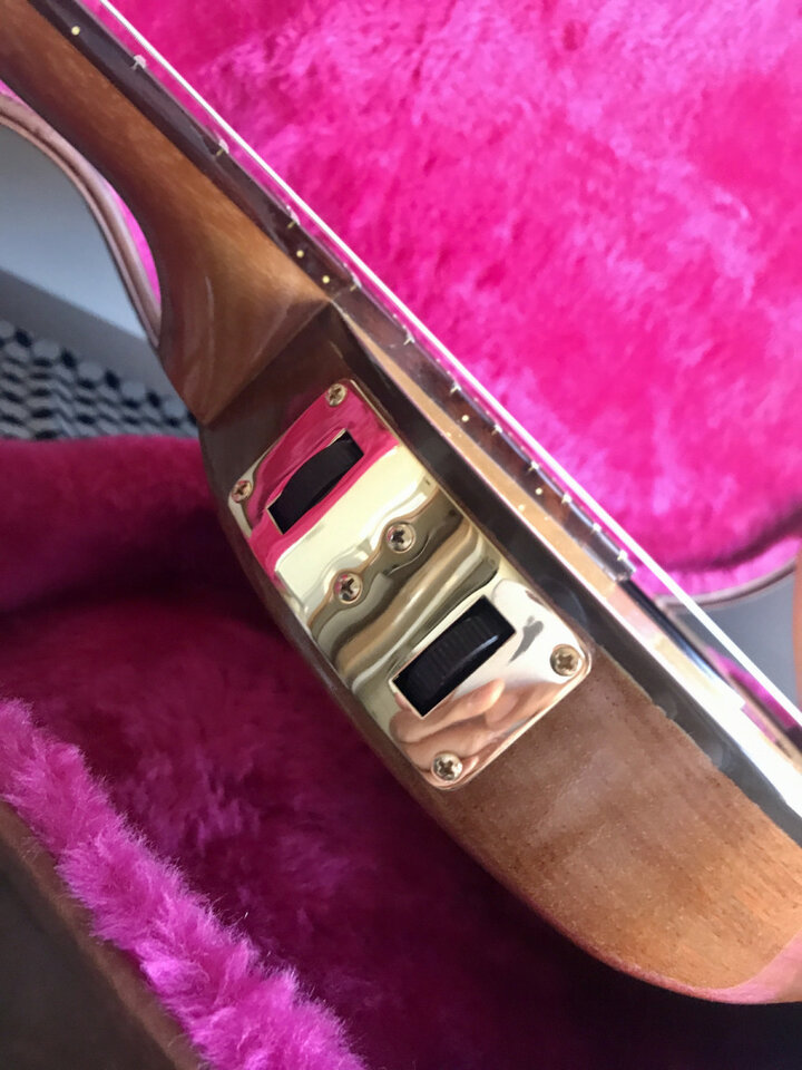 Gibson Chet Atkins CE Nylon 1988 Natural