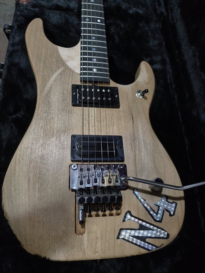 Vendo Washburn N4 Authentic USA