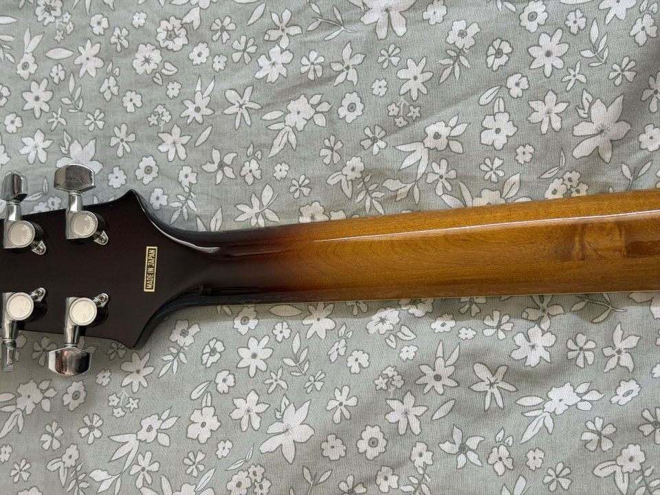 Aria FA-STD. ES-175 de segunda mano · Foto 5 de 10 · Burgos · 800 €