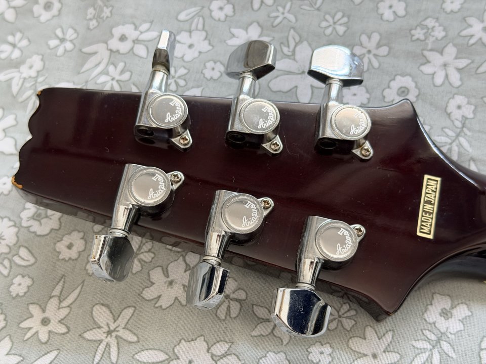Aria FA-STD. ES-175 de segunda mano · Foto 8 de 10 · Burgos · 800 €