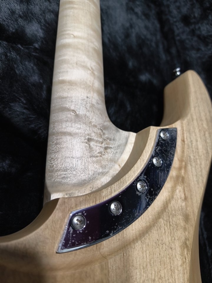 Vendo Washburn N4 Authentic USA