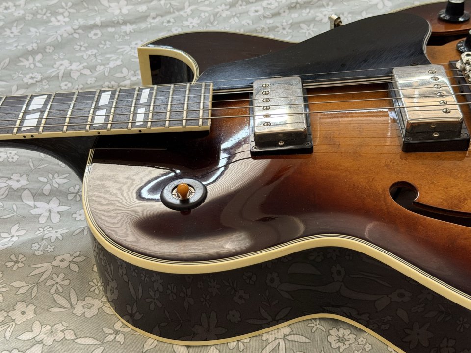 Aria FA-STD. ES-175 de segunda mano · Foto 9 de 10 · Burgos · 800 €