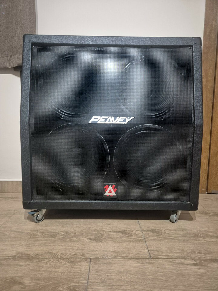 VENTA PANTALLA PEAVEY