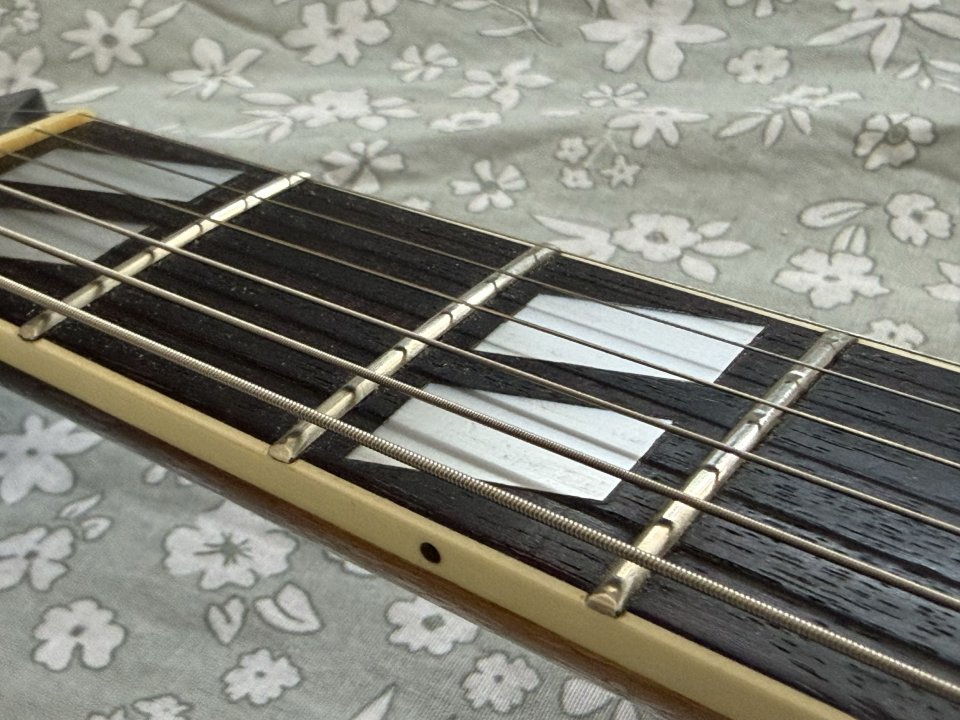 Aria FA-STD. ES-175 de segunda mano · Foto 10 de 10 · Burgos · 800 €