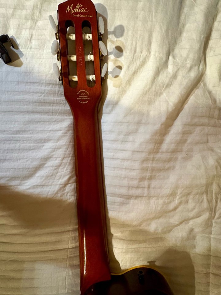 Godin Multiac Grand Concert Duet (2003) - Gama Alta (Mic/Piezo) + Estuche TRIC de segunda mano · Foto 9 de 10 · Granada · 1600 €