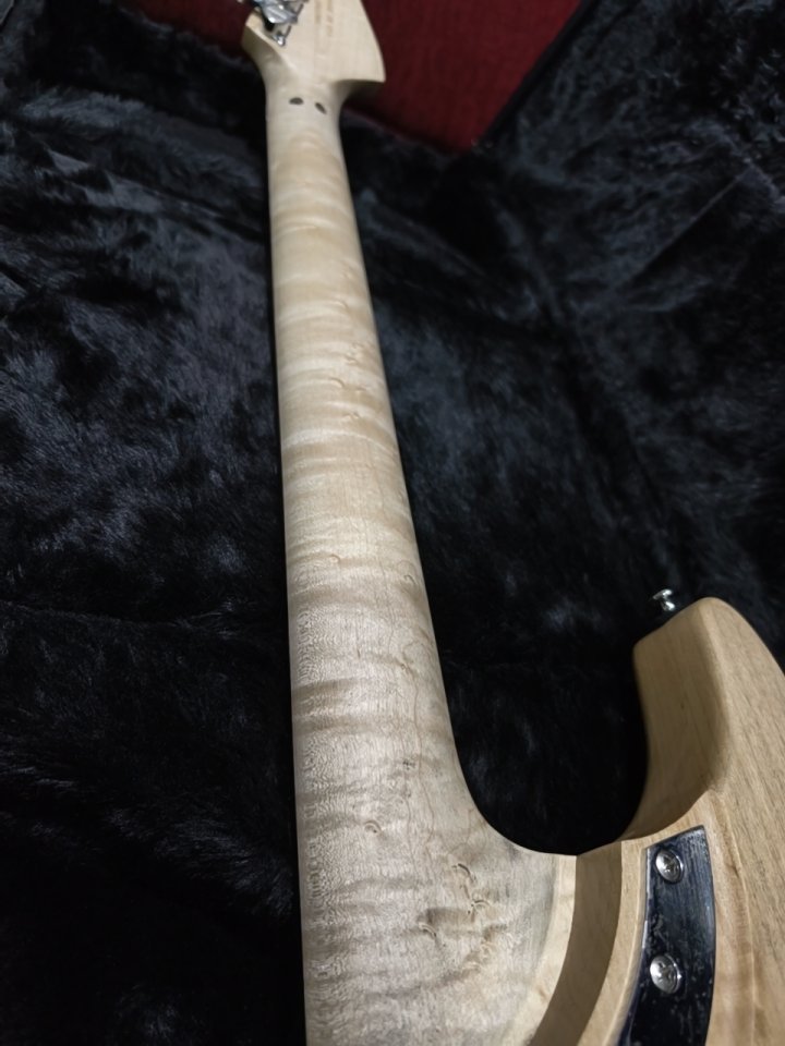 Vendo Washburn N4 Authentic USA