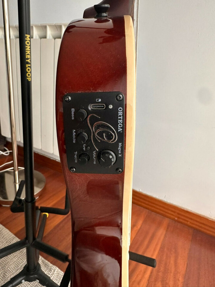 Guitarra Electroespañola cuerpo sólido Ortega TourPlayer de segunda mano · Foto 2 de 4 · Cantabria · 300 €