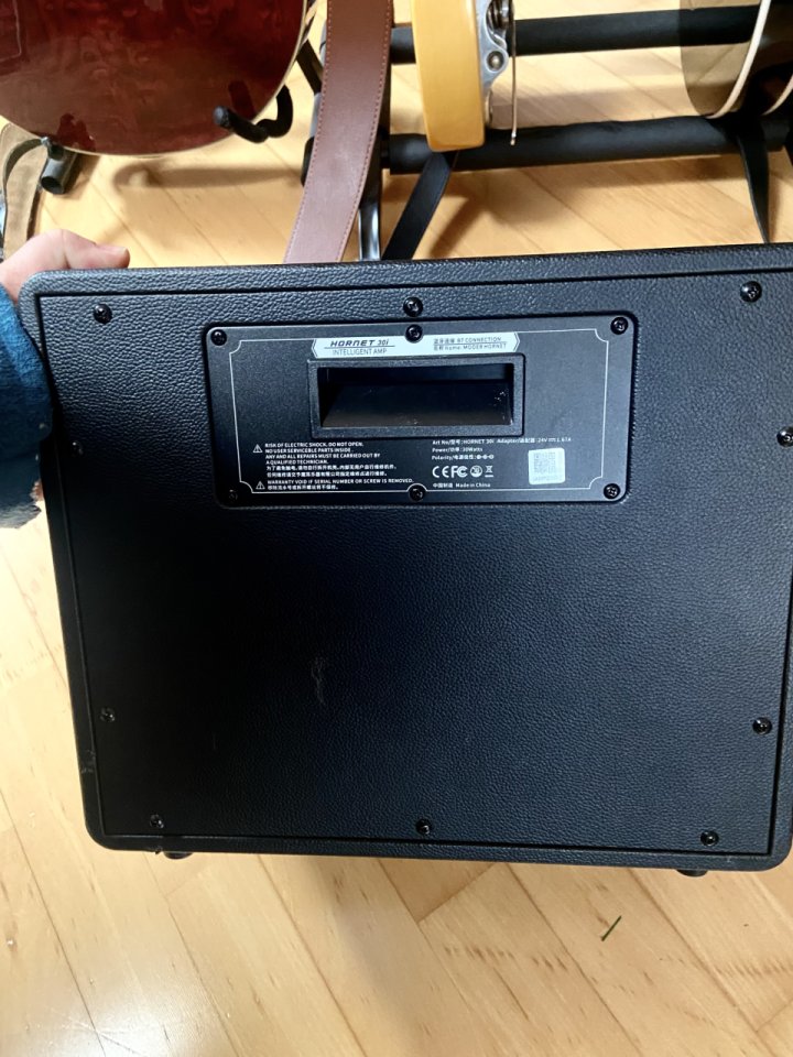 Amplificador Mooer Hornet i30