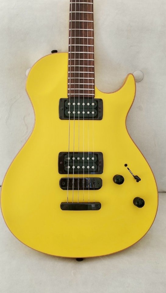 Vigier GV Mint de segunda mano · Foto 3 de 10 · Madrid · 2450 €