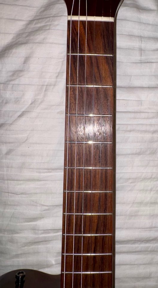 Godin Multiac Grand Concert Duet (2003) - Gama Alta (Mic/Piezo) + Estuche TRIC de segunda mano · Foto 10 de 10 · Granada · 1600 €