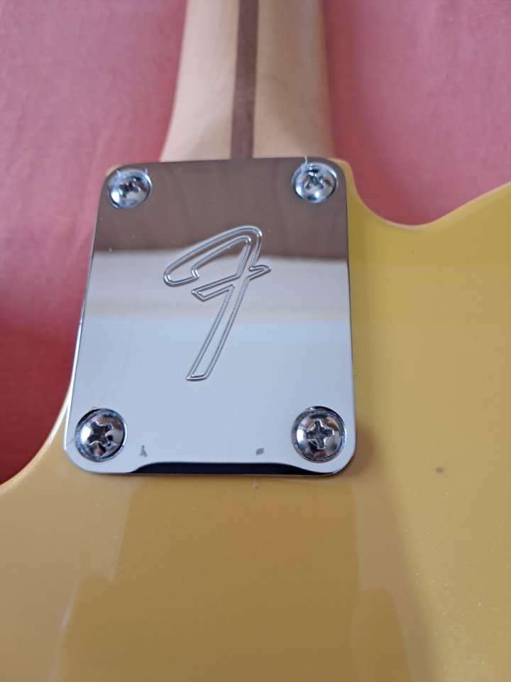 Fender Telecaster Player II Modified SSY de segunda mano · Foto 10 de 10 · Navarra · 650 €