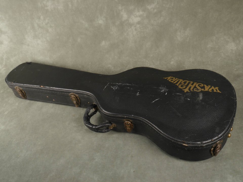 Estuche Washburn Idol USA