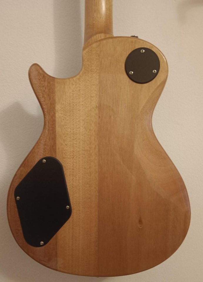 PRS SE Zach Myers MB