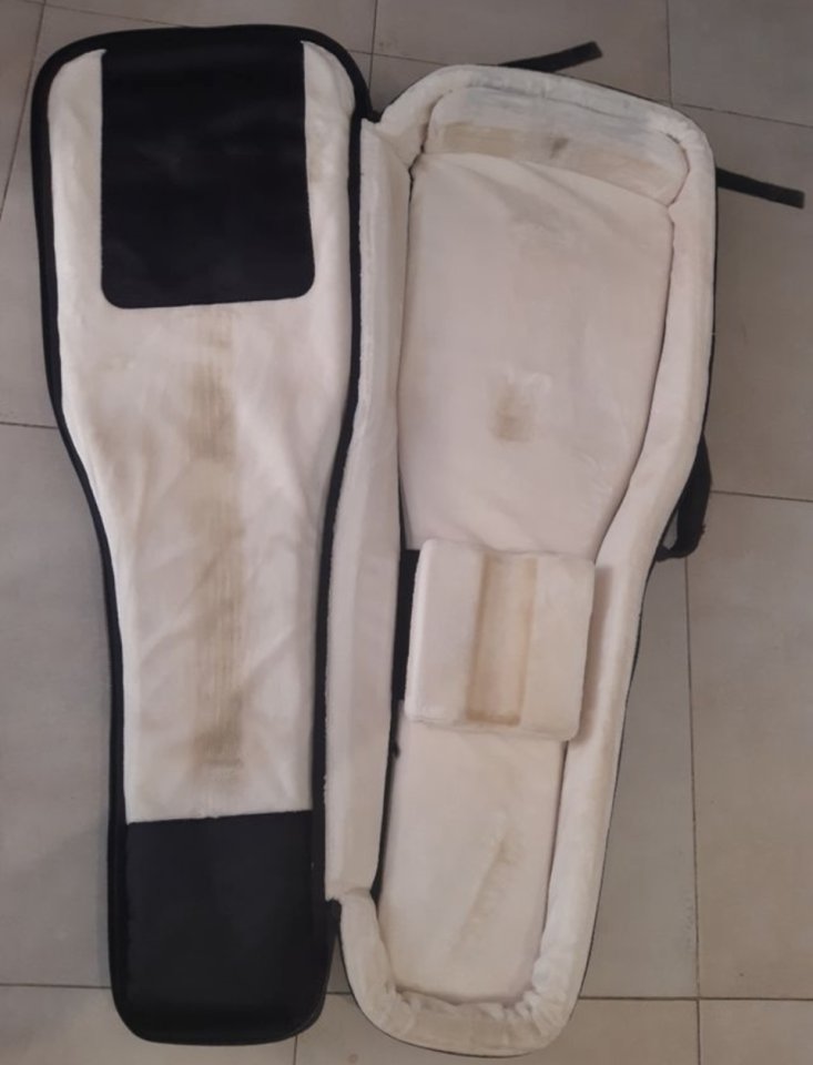 Funda GATOR G-PG Guiarra eléctrica