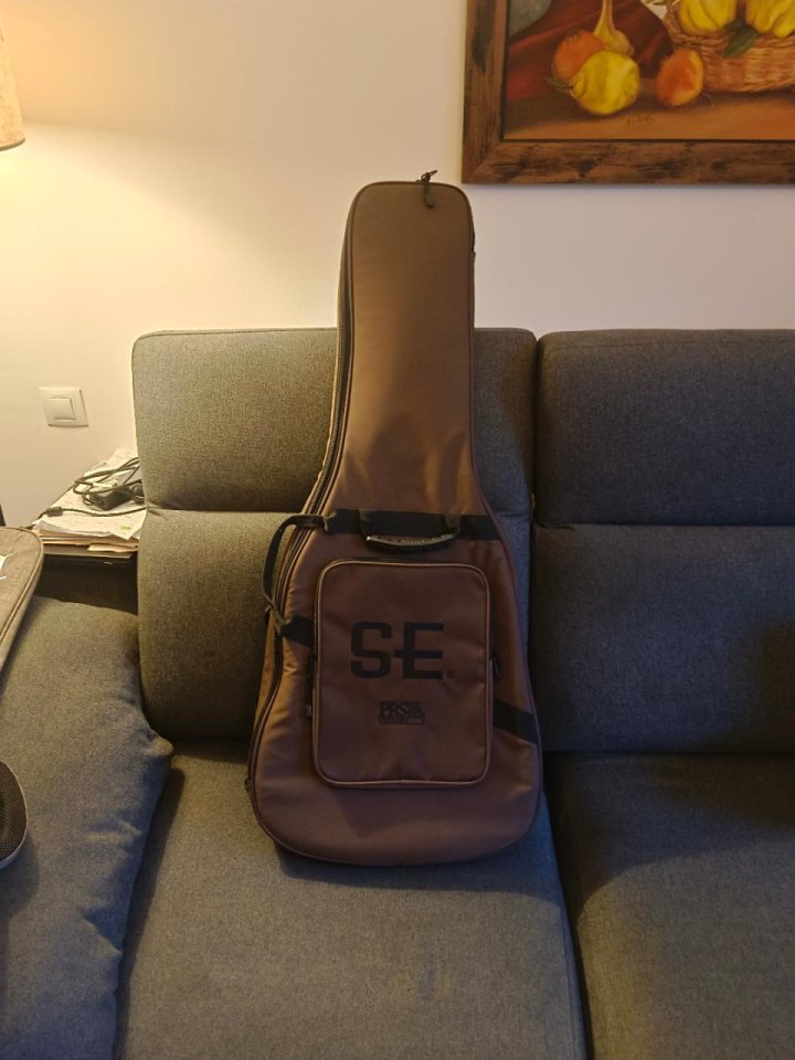 PRS SE Zach Myers MB