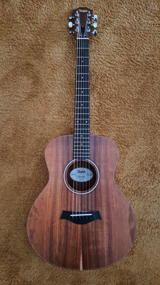 Taylor GS Mini e Koa