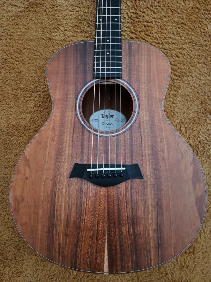 Taylor GS Mini e Koa