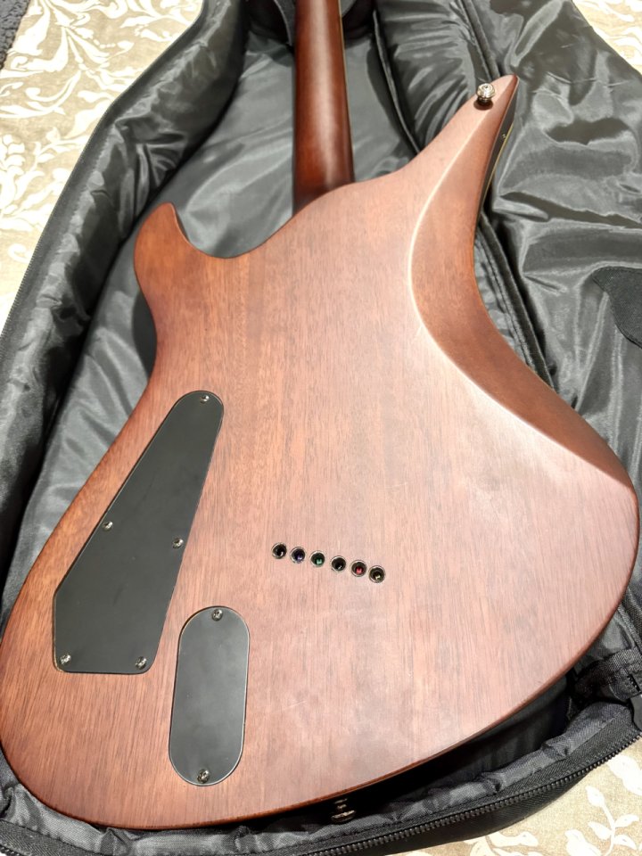SCHECTER BLACKJACK ATX de segunda mano · Foto 10 de 10 · SC Tenerife · 650 €