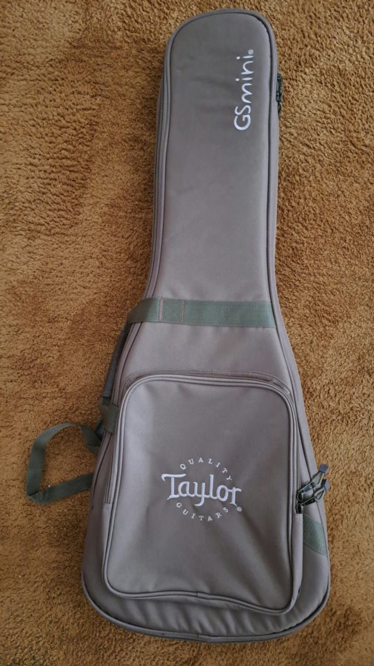 Taylor GS Mini e Koa