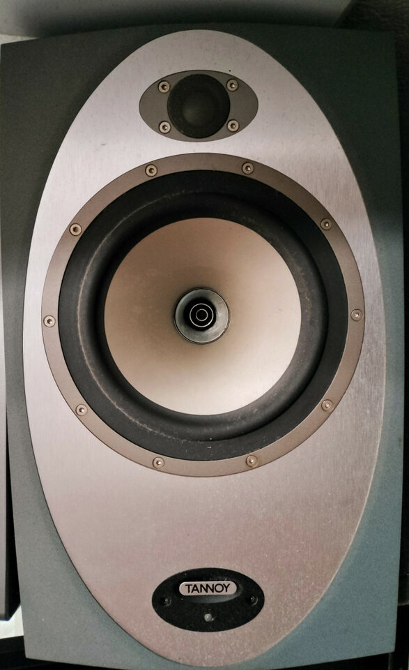 Altavoces Profesionales TANNOY PRECISION 8D